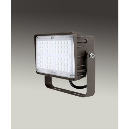 Outdoor Trunnion Mount LED Flood Light