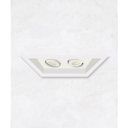 2-Head Multiple Flanged Adjustable LED Recessed Light