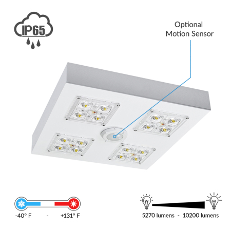 Alcon 16000 Low-Profile LED Canopy Light