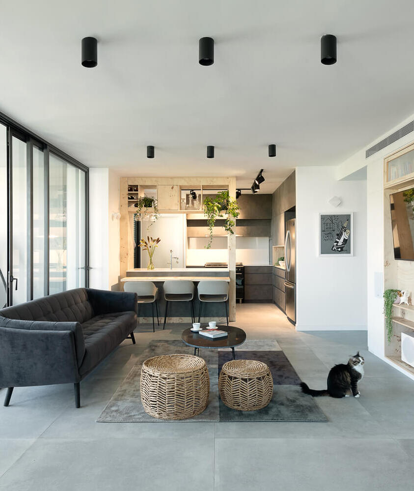 Black cylinder downlights provide ambient lighting in a modern living room, accenting the black trim seen throughout the room.