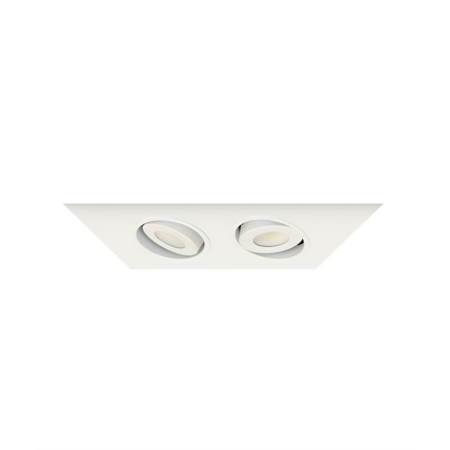 2-Head Multiple Flanged Adjustable LED Recessed Light