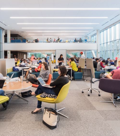 Trimless recessed linear lights and trimless can lights provide general lighting in a school library.