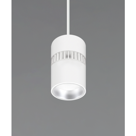 Alcon 12301-4-P, suspended commercial cylindrical pendant light shown with white fins and white housing finish.