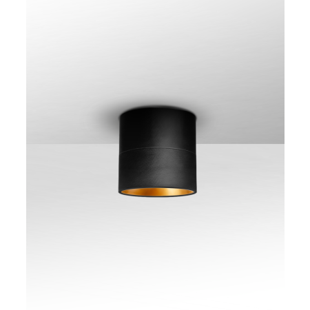 Alcon Lighting 12343-4 Direct light cylinder surface dome shown in black finish with a gold interior. 