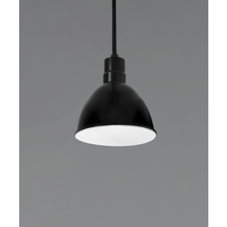 Alcon 15240 dome pendant light 10 inches wide shown in black